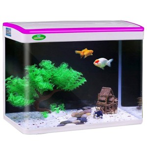 Glass Fish Aquarium