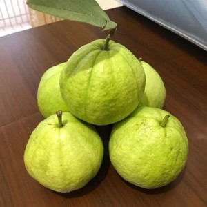 Green Fresh Guava