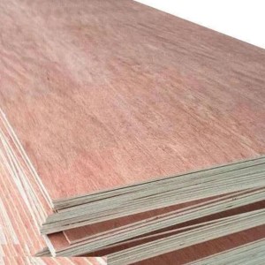 Gurjan Brown Plywood