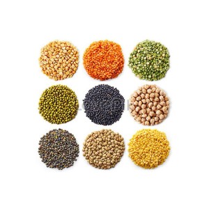 Hard Food Grains