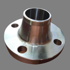 Hastelloy Neck Flange