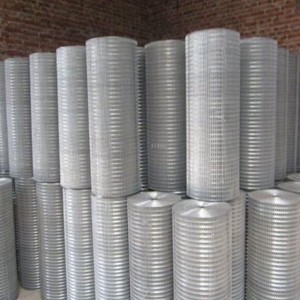 Hastelloy Wire Mesh