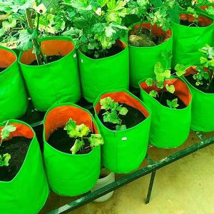 HDPE Grow Bags