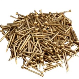 Head Brass Nail
