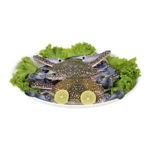 Healthy Sea Crab