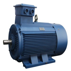 High Power Electric Motor