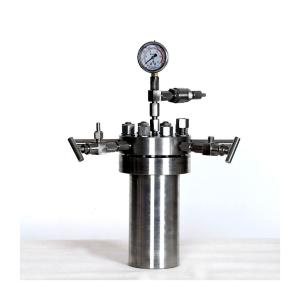 High Pressure Autoclave