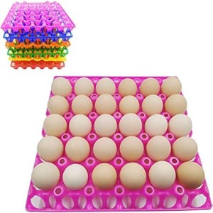 Holes Eggs Trays