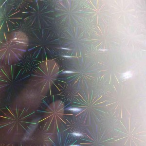 Holographic Transparent Film