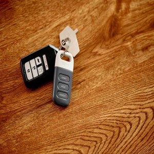 Home Security Key Fob 