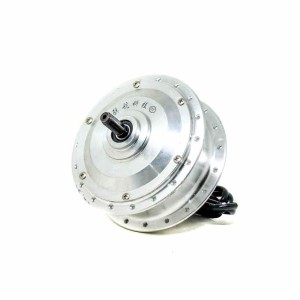 Hub Motor Electric Bicycle, Steel body material