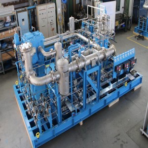 Hydrogen Gas Compressor