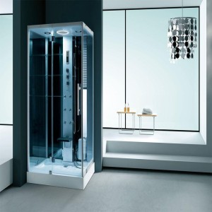Hygree Shower Enclosure