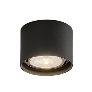 Indoor Ceiling Lights
