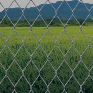 Industrial Chain Link Fence