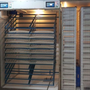 Industrial Egg Hatcher