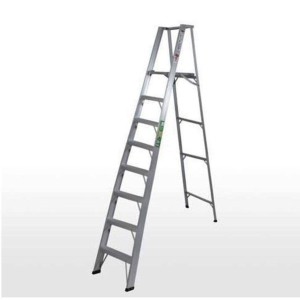 Industrial Platform Ladder