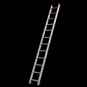 Industrial Single Ladder