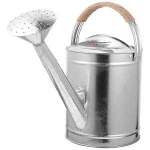 Iron Watering Can