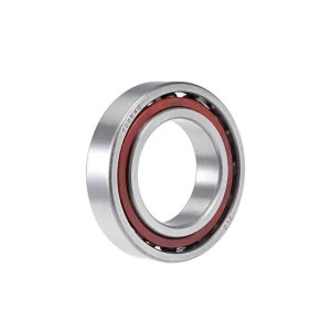 Kaydon Type Bearing