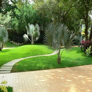 Landscaping Design Services
