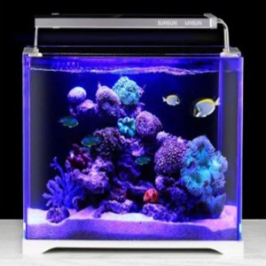 Led Marine Aquarium