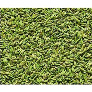 Light Green Fennel Seed