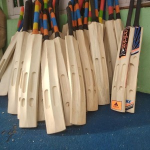 Lightweight Cricket Bat