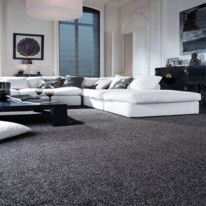 Living Room Carpet Flooring, Versatile & affordable