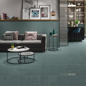 Floor Tiles Living Room