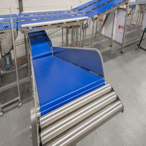 Logistics Belt Conveyor
