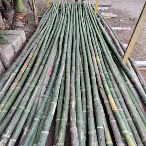 Long Bamboo Sticks, 99% moisture content, solid form