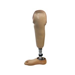 Lower Limb Prosthesis