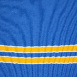 Lycra Strip Print Fabric