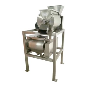 Mango Destoner Machine