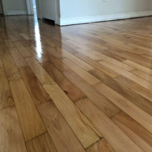 Maple Wooden Flooring