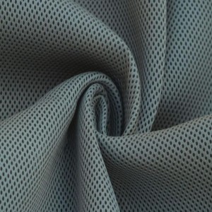 Mesh Polyester Fabric