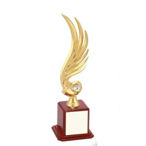 Metal Award Trophies