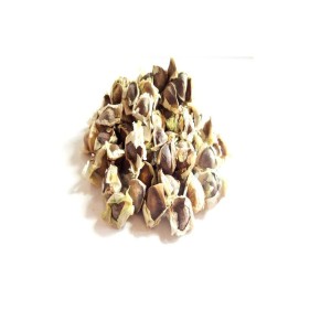 Moringa Seeds