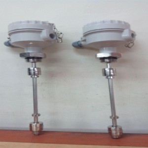 Mounting Level Switchs