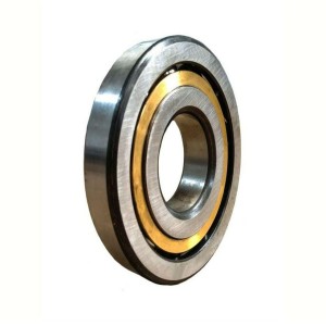MS Ball Bearing