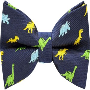 Multicolor Boys Tie