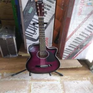 Multicolor Daniel Guitars