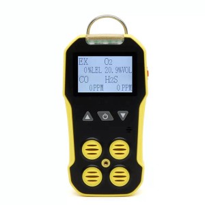 Multigas Portable Detector