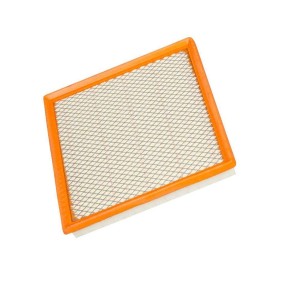 Nexon Air Filter