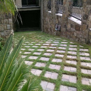 Ocean Grass Pavers