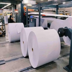 Offset Paper Printing