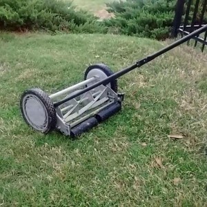 Old Grass Cutter, Robust adjustable cutting height