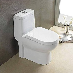 One Piece Water Closet