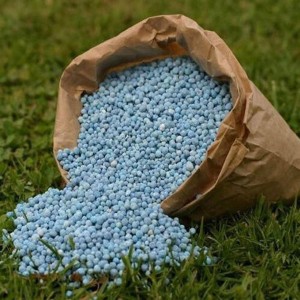 Organic Agricultural Fertilizer
